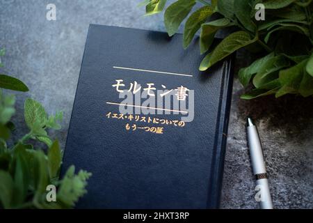 Gros plan du Livre de Mormon avec un titre japonais, et un stylo sur fond gris avec des feuilles Banque D'Images