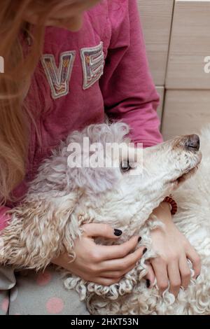 Adolescente et un grand chien - coolé royal. Banque D'Images