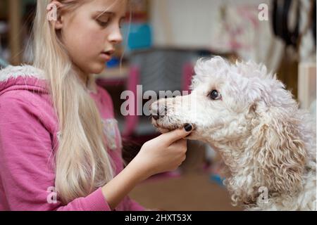 Adolescente et un grand chien - coolé royal. Banque D'Images