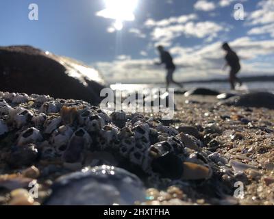 Galets colorés sur la plage avec le fond flou du ciel ensoleillé et des personnes en course à pied Banque D'Images