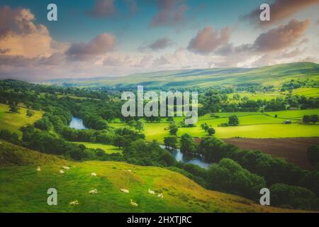 La rivière Meandering se rend à travers des terres agricoles verdoyantes et verdoyantes au coucher du soleil. Banque D'Images