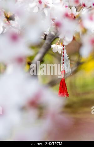 une ficelle rouge et blanche, connue sous le nom de martisor roumain europe de l'est première tradition de mars accrochée à une branche de cerisier en fleur Banque D'Images