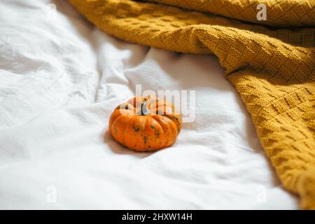 Gros plan d'une citrouille orange simple sur un lit - draps blancs, couverture tricotée jaune ocre Banque D'Images
