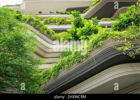 Photo à angle bas de plantes vertes plantées le long de l'extérieur du bâtiment Banque D'Images