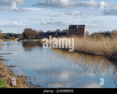 Vue vers l'est le long de la partie restaurée du canal North Walsham & Dilham entre Bacton Wood Mill et eBridge Mill en début d'après-midi de printemps. Banque D'Images