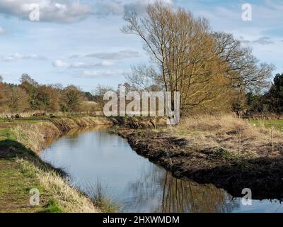 Vue vers l'est le long de la partie restaurée du canal North Walsham & Dilham entre Bacton Wood Mill et eBridge Mill en début d'après-midi de printemps. Banque D'Images