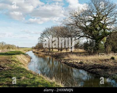 Vue vers l'est le long de la partie restaurée du canal North Walsham & Dilham entre Bacton Wood Mill et eBridge Mill en début d'après-midi de printemps. Banque D'Images