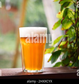 Bière froide légère avec mousse blanche dans le verre sur table en bois avec un arrière-plan de nature flou. Banque D'Images
