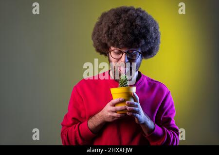 Fou pupster enfant homme avec la coiffure afro tenant cactus dans les mains, essayant de lécher la fleur avec la langue, portant le sweat-shirt rouge. Studio d'intérieur isolé sur fond de néon coloré. Banque D'Images