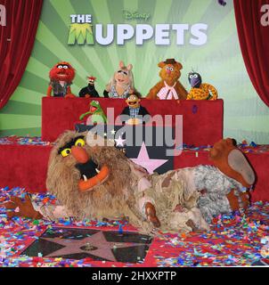 Les Muppets, Animal, Pepe, Miss Piggy, Fozzie, GONZO, Kermit, Walter et Sweetums à la cérémonie des étoiles Muppets Hollywood Walk of Fame à Los Angeles Banque D'Images