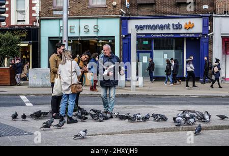 Un homme qui nourrit les pigeons à l'extérieur du parc vert St Stephens à Dublin, en Irlande. Banque D'Images