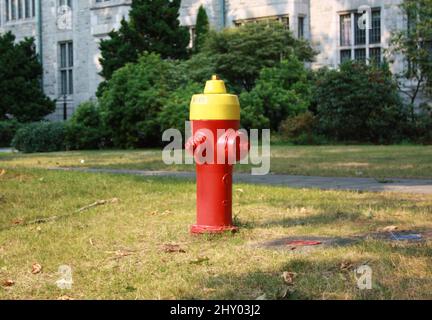 Borne d'incendie dans le jardin par une journée ensoleillée Banque D'Images