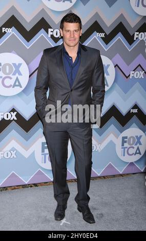 David Boreanaz participant à la fête All-Star de Fox Winter TCA à Pasadena, en Californie. Banque D'Images