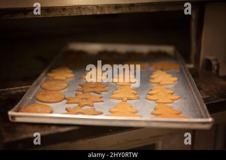 Biscuits en décorations de Noël formes sur une plaque de cuisson dans le four Banque D'Images