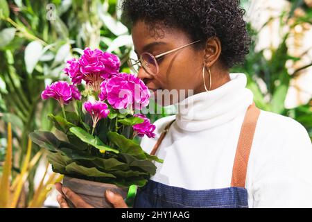 Une fleuriste afro-américaine en lunettes sentant des fleurs de pélargonium pourpres en pot avec des feuilles vertes tout en travaillant dans une boutique de fleurs légères Banque D'Images