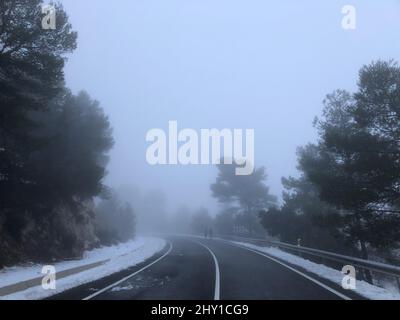 Des personnes éloignées marchant sur une route asphaltée vide allant entre des conifères verts élevés dans le brouillard le froid jour d'hiver Banque D'Images