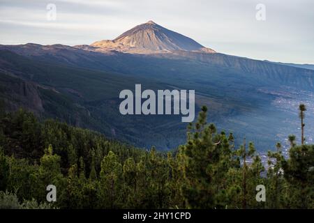 Pentes de montagne couvertes d'arbres de conifères verts et d'herbe qui poussent contre le majestueux mont dans la nature de l'Espagne le jour d'été Banque D'Images