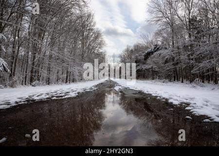 Chemin de gravier enneigé dans les bois d'hiver Banque D'Images