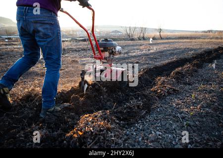 l'homme cultive le sol dans le jardin avec un timon préparant le sol pour le semis Banque D'Images