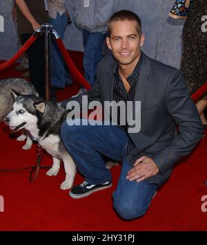 Paul Walker participant à la première mondiale « huit ci-dessous » qui s'est tenue au théâtre El Capitan de Los Angeles, aux États-Unis. Banque D'Images