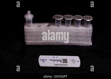 Test de débit latéral positif Covid 19 / test de coronavirus d'antigène de débit latéral rapide sur fond noir montrant les deux barres sur la bandelette de test Banque D'Images