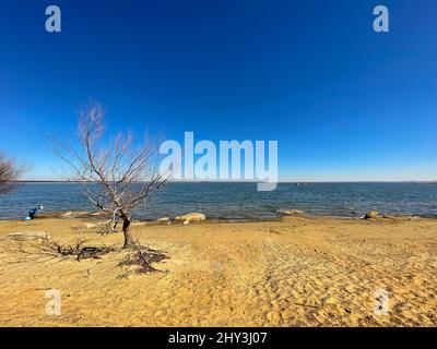 Une vue lointaine des enfants jouant sur la rive sablonneuse du lac Lewisville, au Texas, aux États-Unis Banque D'Images