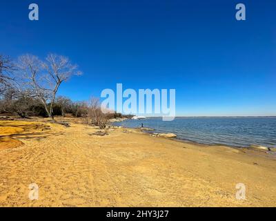 Rivage sablonneux du lac Lewisville avec rangée de cannes à pêche en hiver au Texas, aux États-Unis Banque D'Images