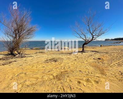 Rivage sablonneux du lac Lewisville avec rangée de cannes à pêche en hiver au Texas, aux États-Unis Banque D'Images