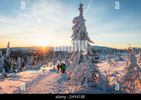 Groupe de randonneurs sur Dreisesselberg en hiver au lever du soleil, Allemagne - République tchèque Banque D'Images