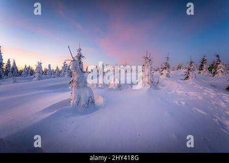 Paysage d'hiver pittoresque à Dreisesselberg, à la frontière de l'Allemagne et de la République tchèque Banque D'Images