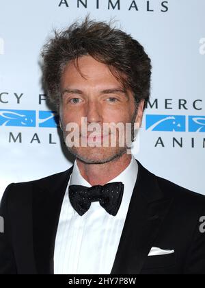 Richard Marx attats Mercy for Animals présente le Gala des héros cachés qui s'est tenu à la Casa Unici. Banque D'Images