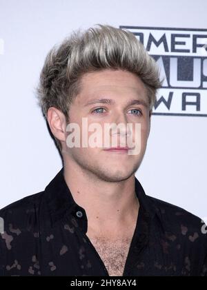 Niall Horan 2015 American Music Awards au Microsoft Theatre Banque D'Images