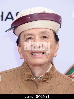 15 janvier 2016 Hollywood, ca. James Hong : première mondiale « Kung Fu Panda 3 » au TCL Chinese Theatre James Hong : première mondiale « Kung Fu Panda 3 » au TCL Chinese Theatre Banque D'Images