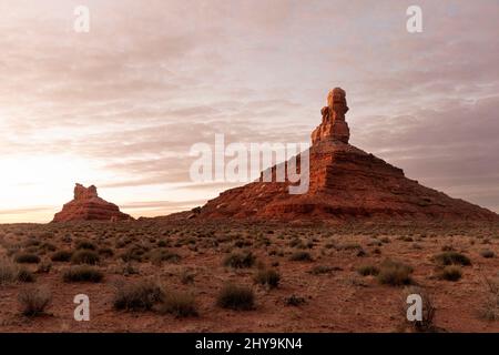 UT00902-00..... UTAH - Rooster Butte et Setting Hen Butte au lever du soleil dans la vallée des dieux, monument national Bears Ears. Banque D'Images