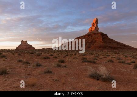 UT00903-00..... UTAH - Rooster Butte et Setting Hen Butte au lever du soleil dans la vallée des dieux, monument national Bears Ears. Banque D'Images