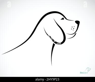 Image vectorielle d'un beagle de chien sur fond blanc.Illustration vectorielle superposée facile à modifier. Illustration de Vecteur