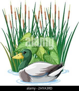 Canard nageant dans l'illustration de l'étang Illustration de Vecteur