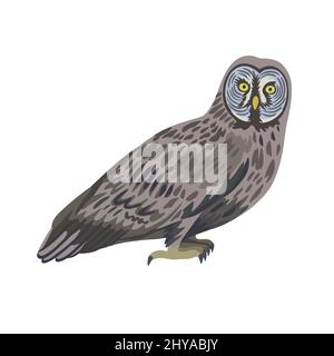 Hibou gris de dessin animé vectoriel isolé sur fond blanc. Illustration de Vecteur