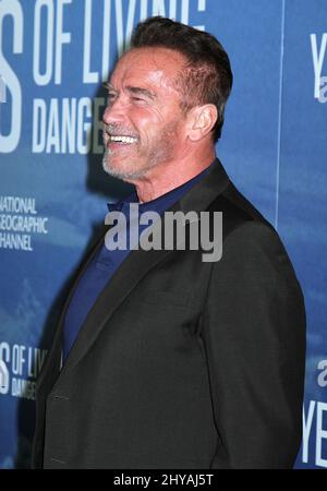 Arnold Schwarzenegger assiste à la première de National Geographic Channel, « Years of Living dangereusement », au Musée américain d'Histoire naturelle, le mercredi 21 septembre 2016, à New York. Banque D'Images