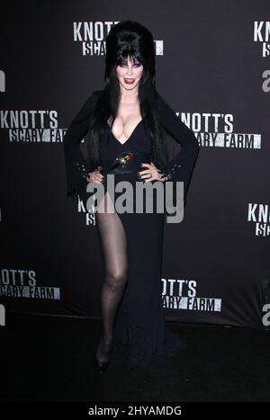 Elvira arrive pour l'événement tapis noir 2016 de Knott's Scary Farm qui s'est tenu à Knott's Berry Farm, Los Angeles, le 30th 2016 septembre. Banque D'Images