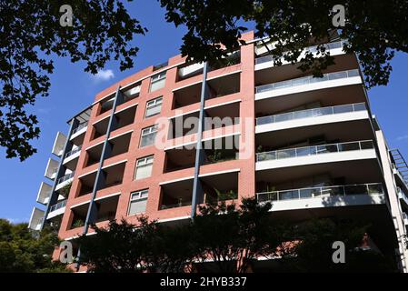 Immeuble d'appartements lumineux vu à travers des feuilles et des branches sombres, avec un ciel bleu clair en arrière-plan Banque D'Images