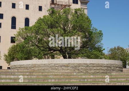 Le Survivor Tree du monument commémoratif national d'Oklahoma City est un monument commémoratif aux États-Unis qui rend hommage aux victimes, aux survivants, aux sauveteurs et à tous ceux qui ont été touchés par l'attentat d'Oklahoma City le 19 avril 1995. Banque D'Images