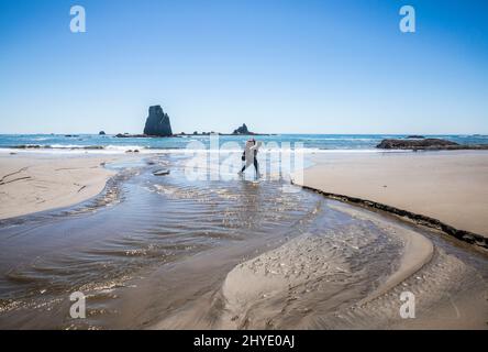 Un homme portant un sac à dos traversant Jackson Creek sur la côte olympique de l'État de Washington, près de Toleak point, Washington, États-Unis. Banque D'Images