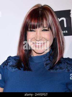 Cynthia Rothrock à la première « le spectacle à Manille » d'ITN distribution, à Los Angeles, tenue au Laemmle Ahrya Fine Arts Theatre le 22 janvier 2018 à Beverly Hills, Californie. Banque D'Images