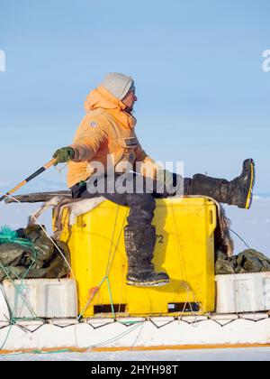 Le pêcheur ramène sa prise au village à l'aide d'un traîneau à chiens. Chien de traîneau avec des chiens du Groenland pendant l'hiver près d'Uummannaq dans le beyon du nord de la Westgreenland Banque D'Images