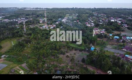 Vue aérienne des champs agricoles de Kalimantan est. Banque D'Images