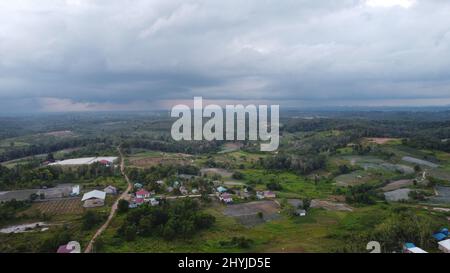 Vue aérienne des champs agricoles de Kalimantan est. Banque D'Images