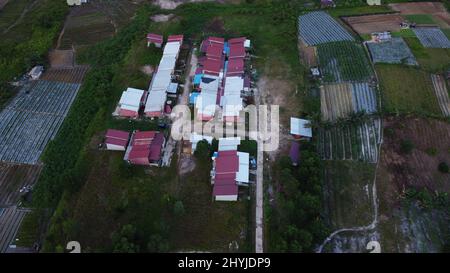 Vue aérienne des bâtiments de Kalimantan est à côté des champs agricoles. Banque D'Images