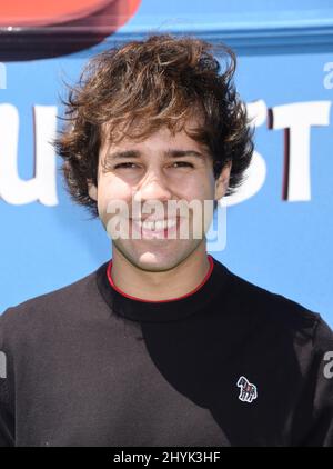 David Dobrik à la première mondiale « The Angry Birds Movie 2 » qui s'est tenue au Regency Village Theatre Banque D'Images