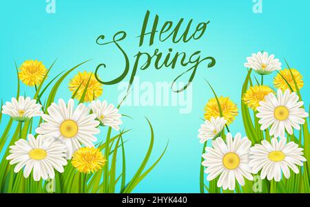 Bannière Hello Spring. Lettrage dessiné à la main. Arrière-plan avec camomille, Marguerite. Modèle de l'heure du printemps, circulaire, affiches, brochure. Bonne journée de printemps Illustration de Vecteur